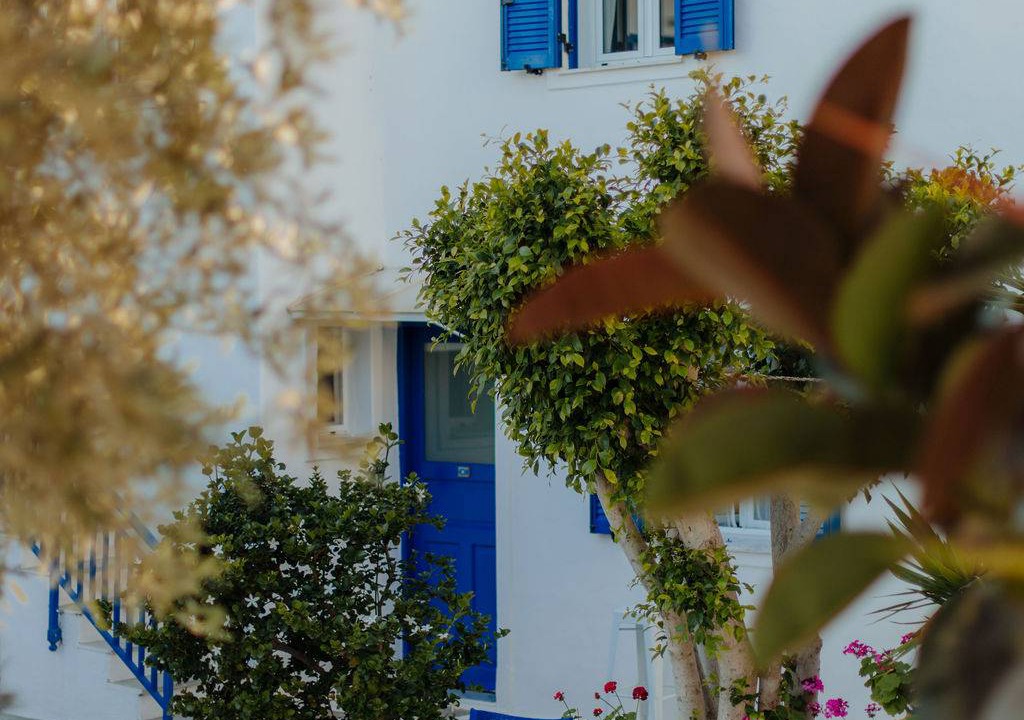 Photo of Others in Paros