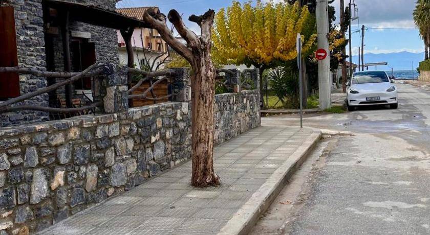 Photo of Others in Agria