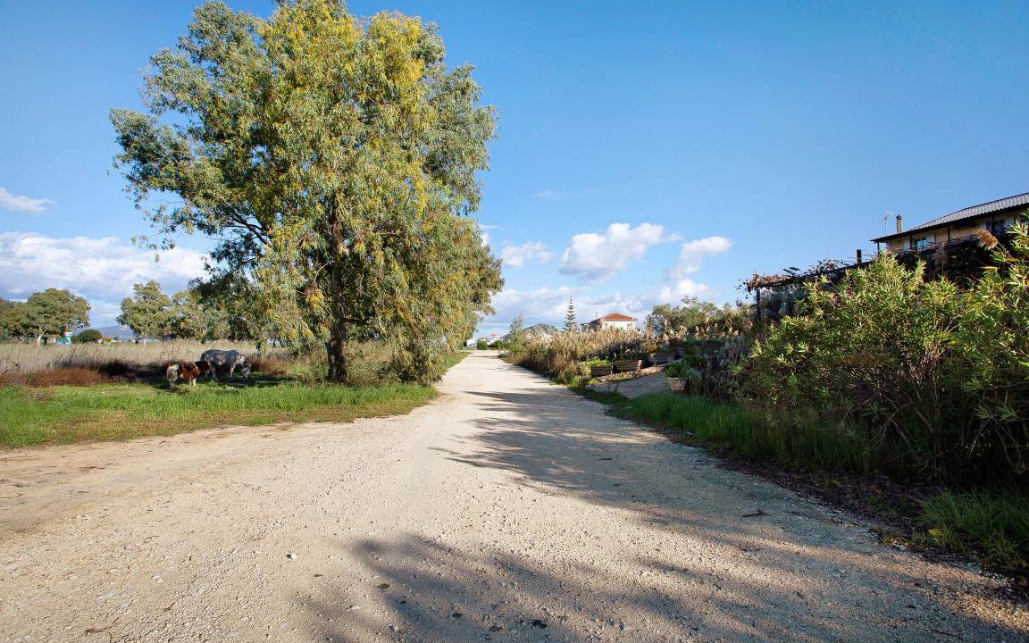 Photo of Others in Limni Keri