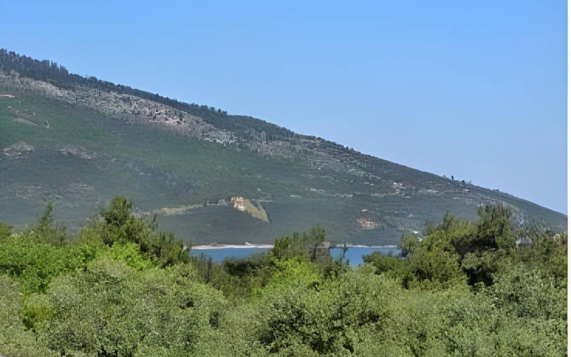 Photo of Others in Thasos