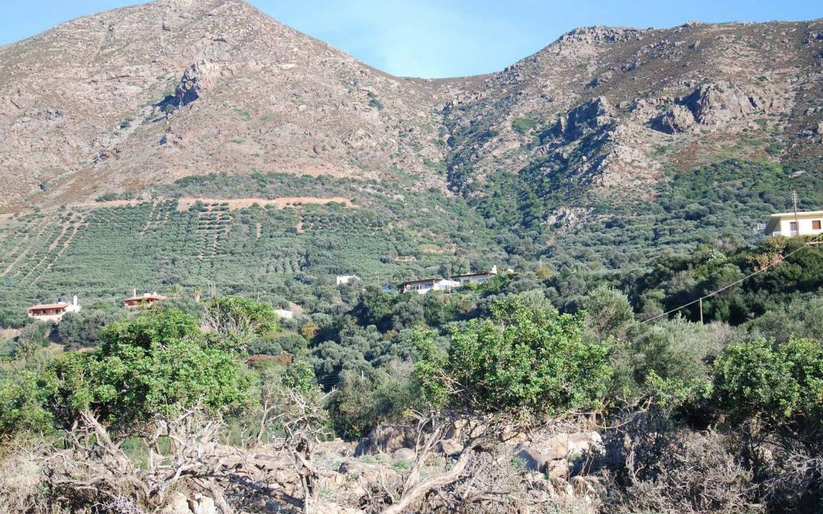 Photo of Others in Sfinari