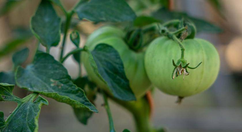 Photo of Others in Argassi