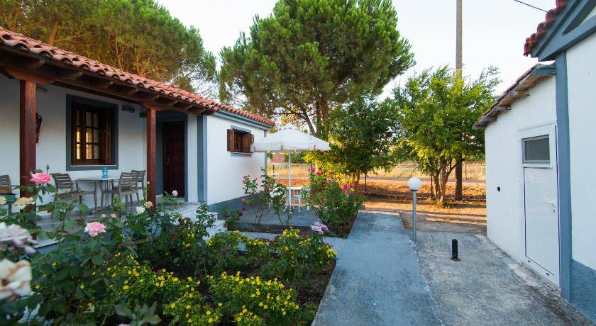 Photo of Others in Skala Kallonis