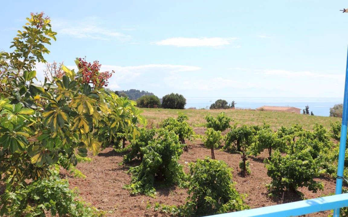 Photo of Others in Pylos-Nestoras