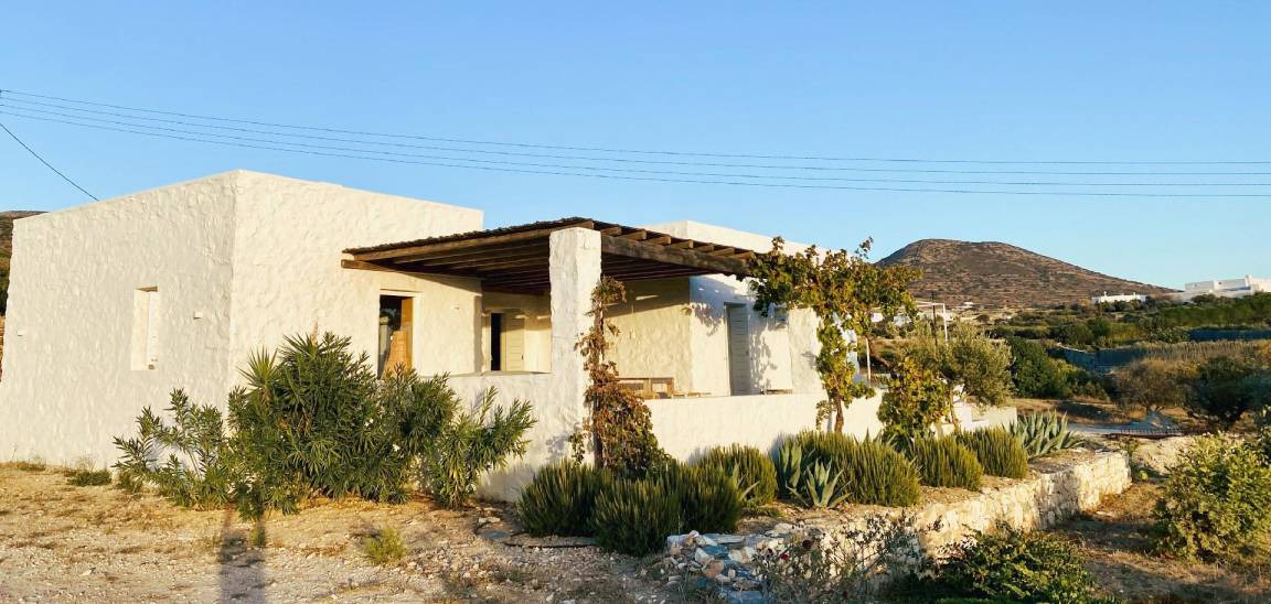 Photo of Others in Paros