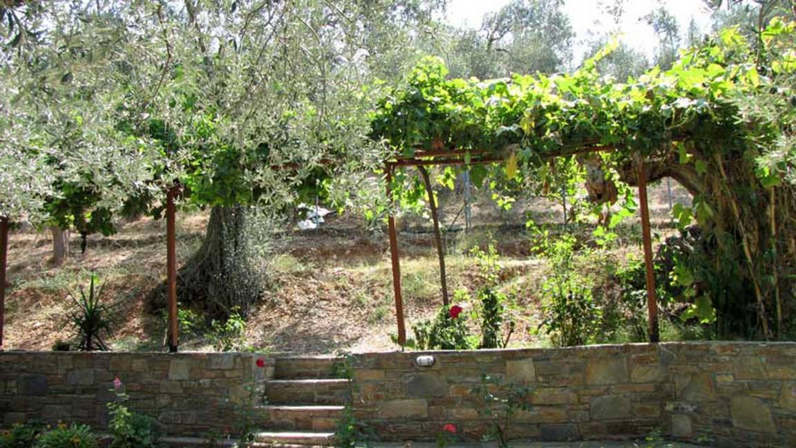 Photo of Others in South Pelion