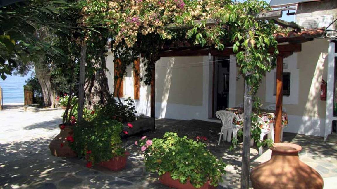 Photo of Others in South Pelion