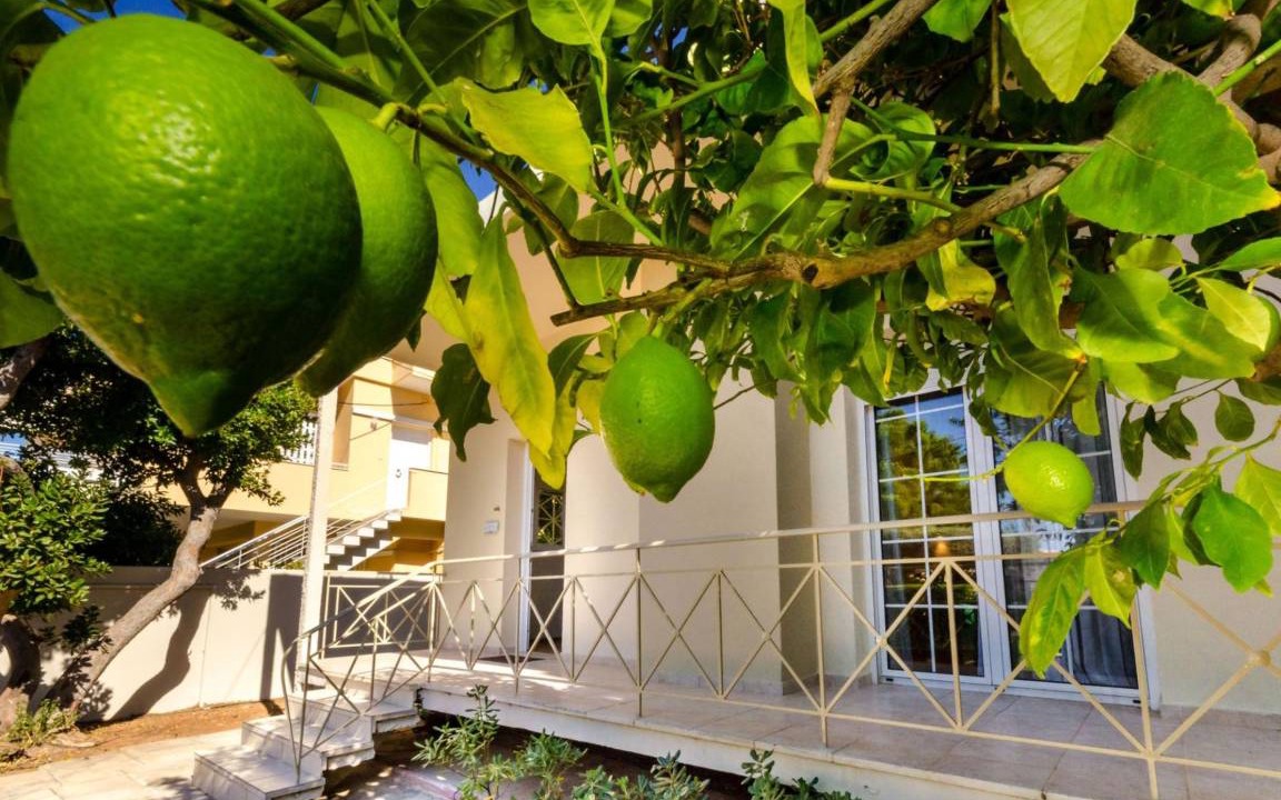 Photo of Others in Glyfada