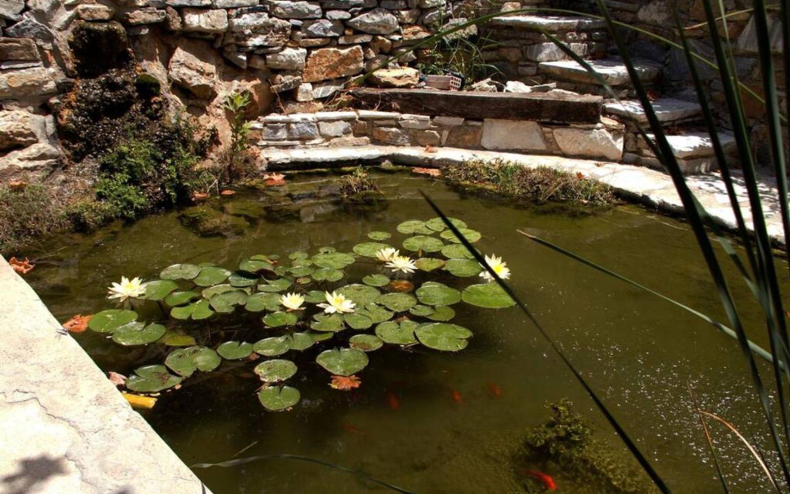 Photo of Others in Filoti