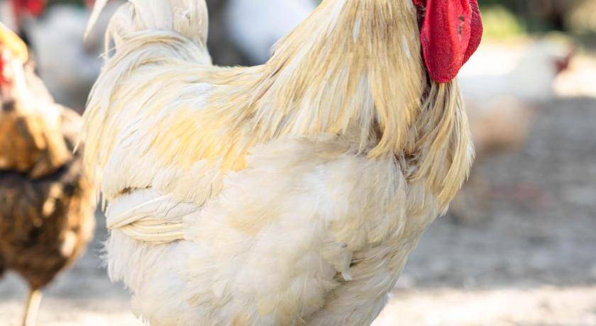 Photo of Others in Argassi