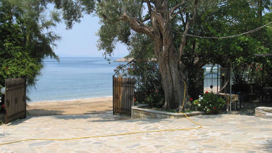 Photo of Others in South Pelion