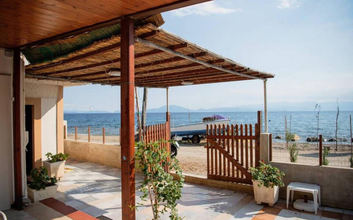 Photo of Others in Agria