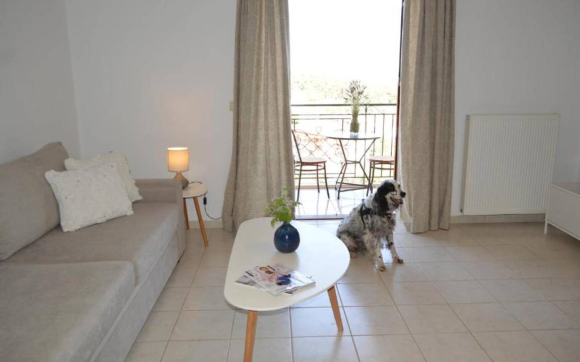 Photo of Others in Pylos