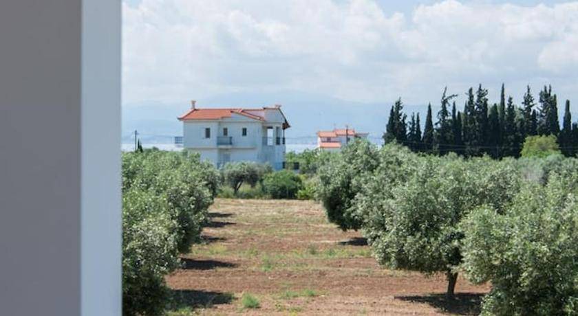 Photo of Others in Eretria