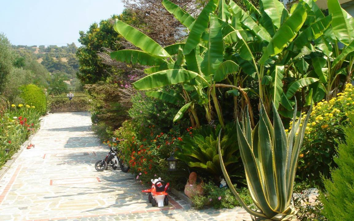 Photo of Others in Nea Skioni