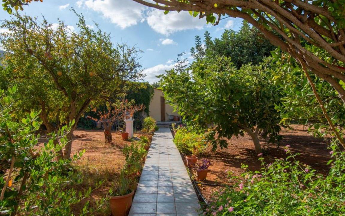 Photo of Others in Old Hersonissos
