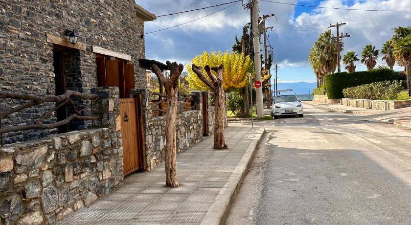 Photo of Others in Agria