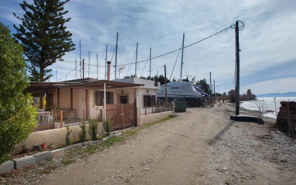 Photo of Others in Agria