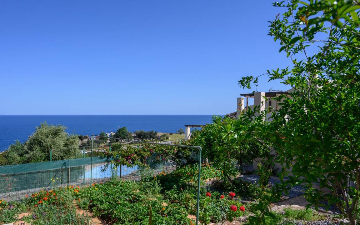 Photo of Outdoor in Drosia