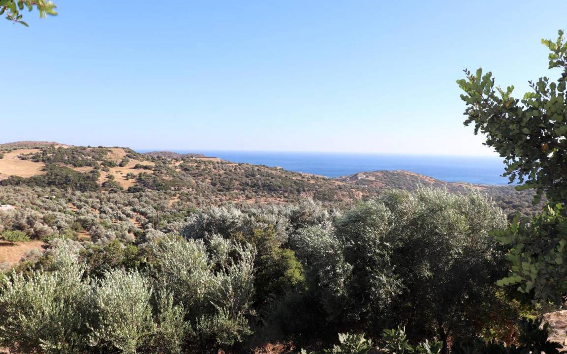 Photo of Others in Triopetra