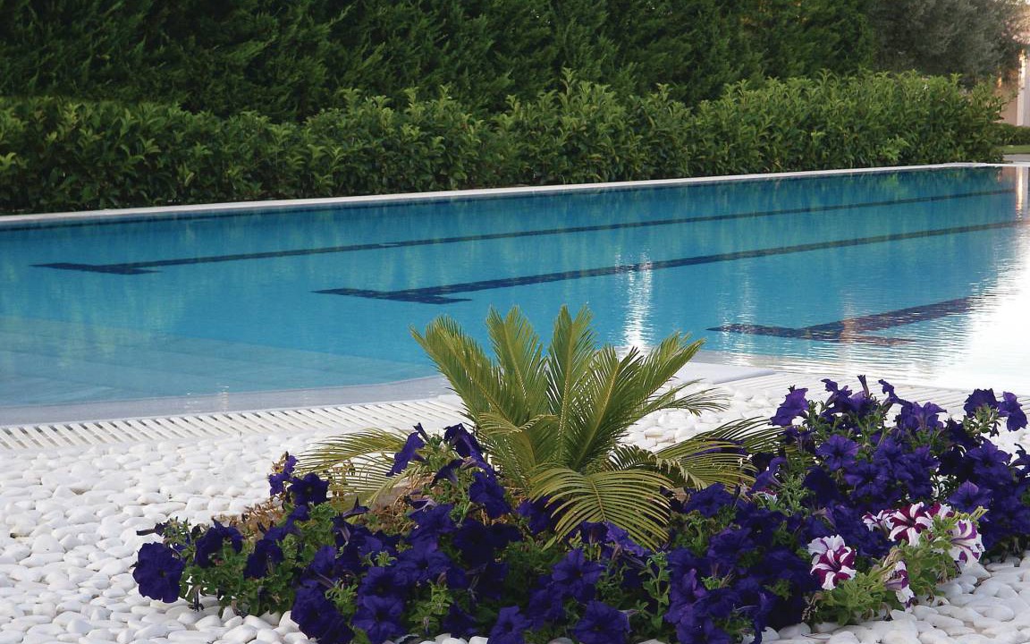 Photo of Others in Agii Apostoli