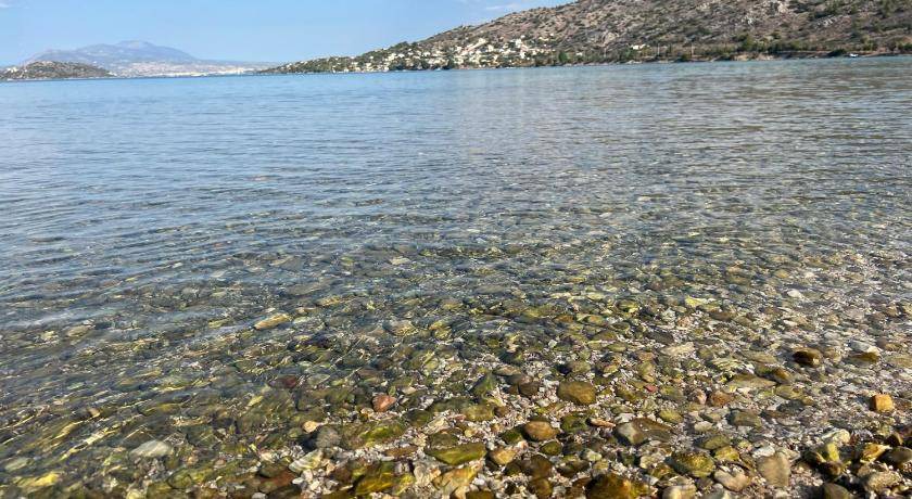 Photo of Others in Salamis