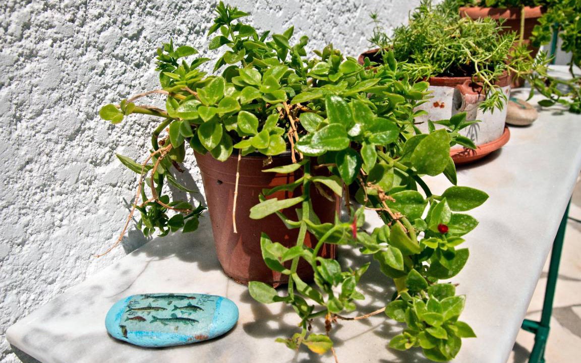 Photo of Patio Balcony in Ferma