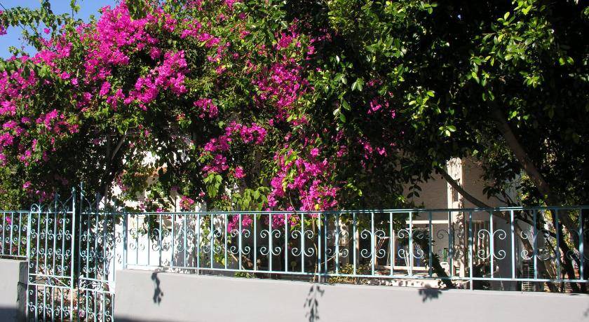 Photo of Others in Ierapetra