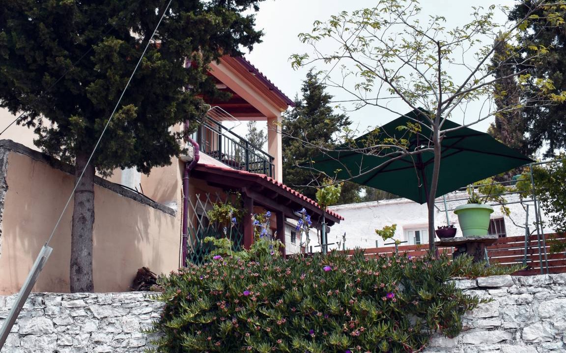 Photo of Others in Ethia