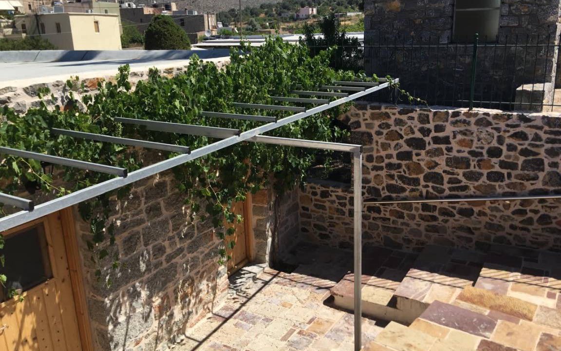 Photo of Others in Olympi