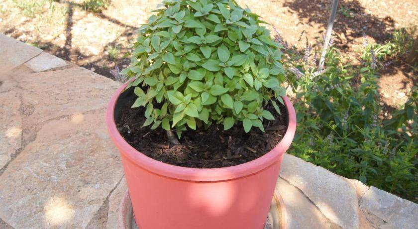 Photo of Outdoor in Patitiri