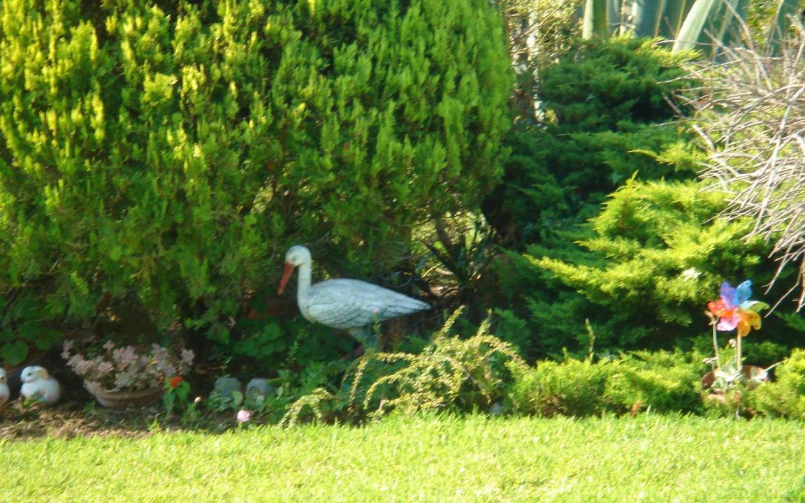 Photo of Others in Nea Skioni