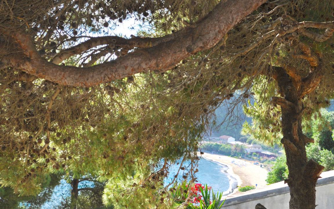 Photo of Others in Sinarades