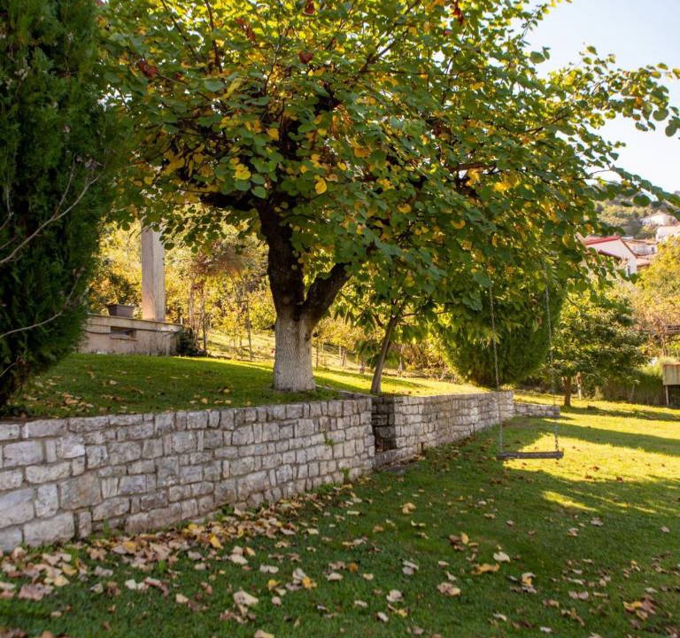 Photo of Others in Lake Plastiras