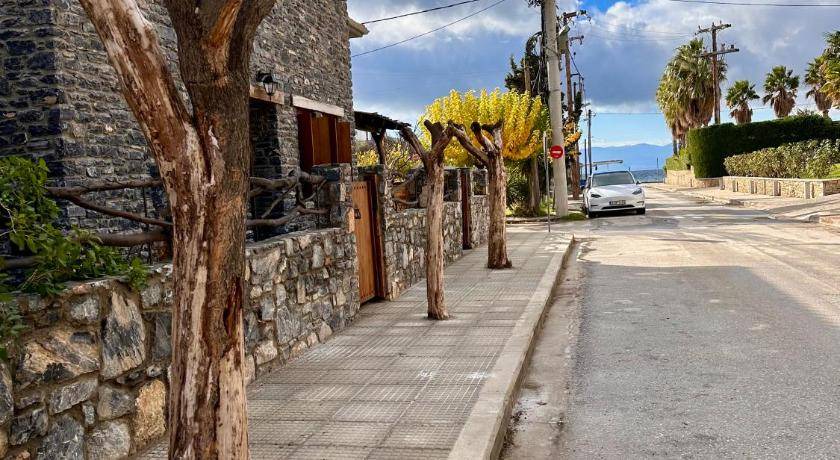 Photo of Others in Agria