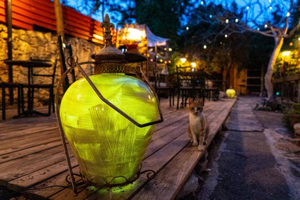 Photo of Others in Chania Town