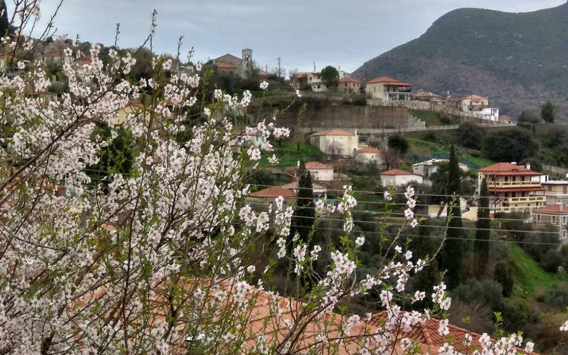 Photo of Others in Messaia