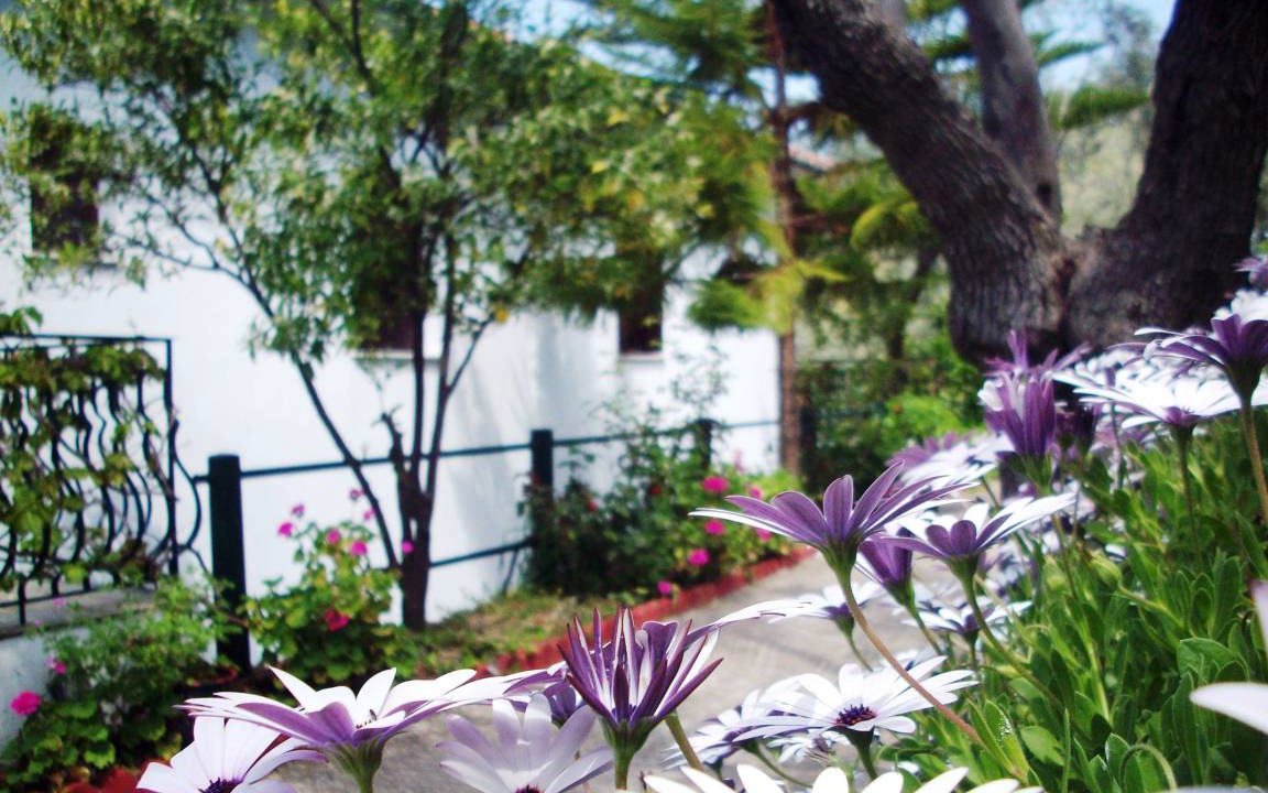 Photo of Others in Kalamos