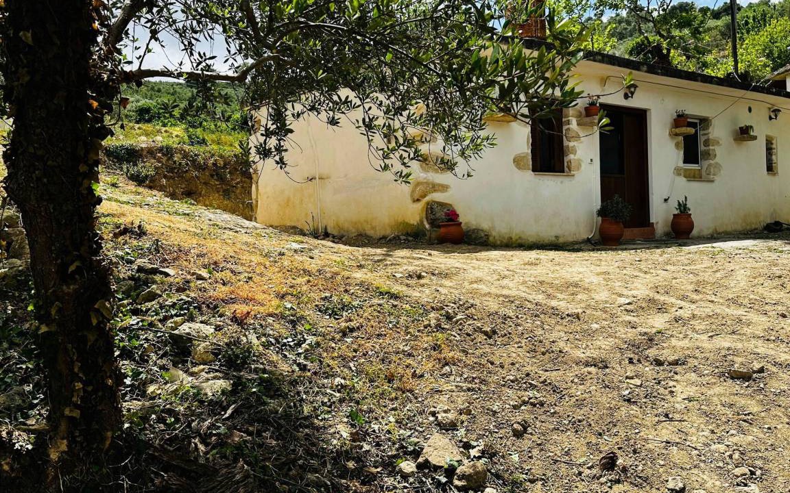 Photo of Others in Panethimos