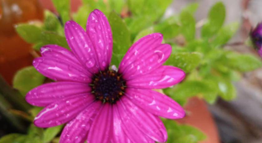 Photo of Others in Mesta