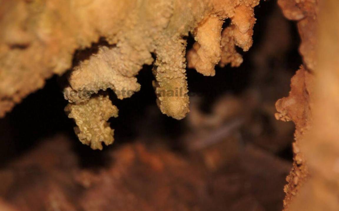 Photo of Others in Filoti