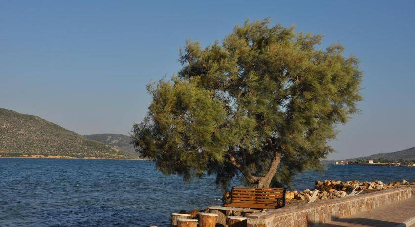 Photo of Others in Apidias Lakkos