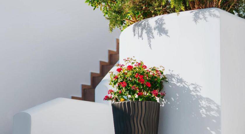 Photo of Others in Astypalaia