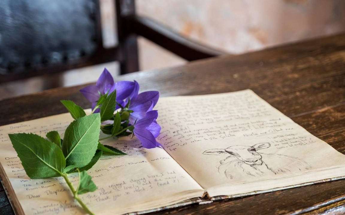 Photo of Others in Goni