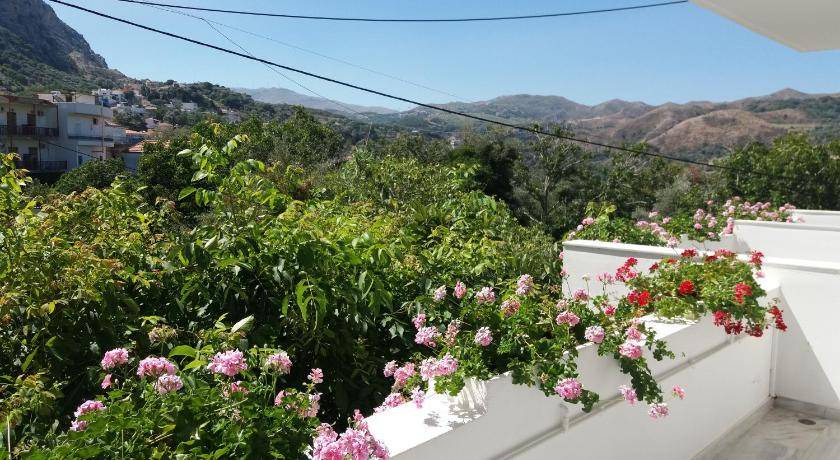 Photo of Others in Spilion