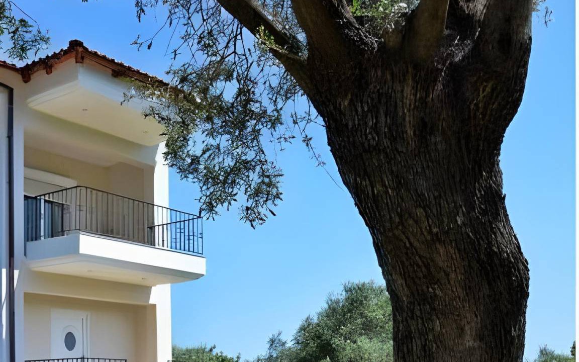 Photo of Others in Thasos