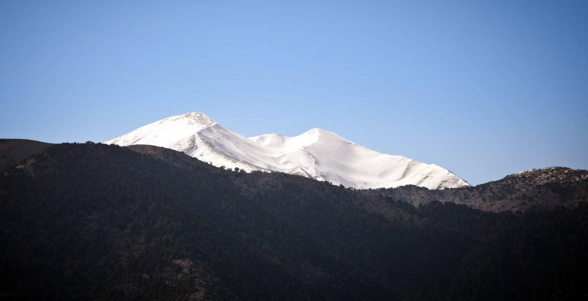 Photo of Others in Goni