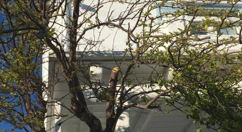 Photo of Others in Platis Gialos