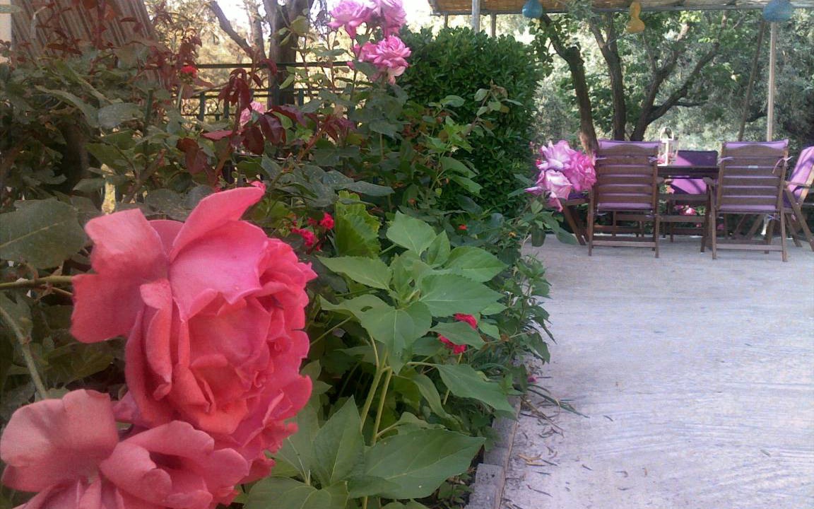 Photo of Others in Kalamos
