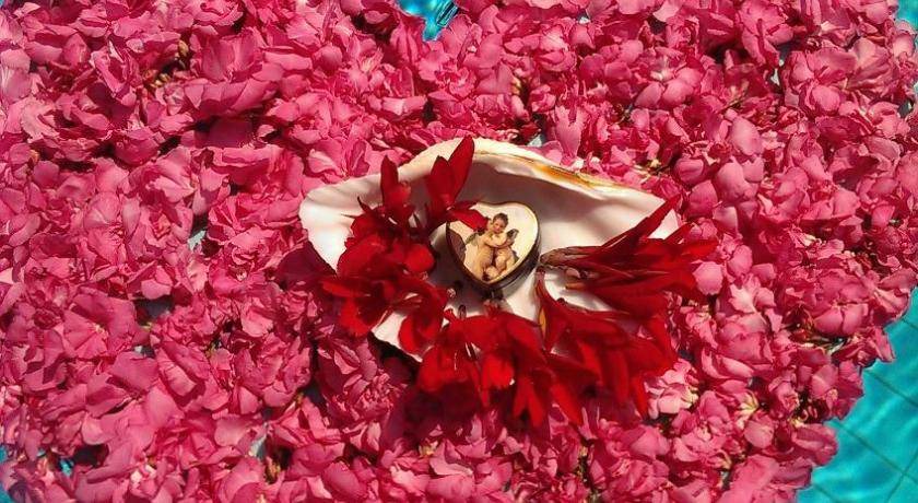 Photo of Others in Thasos Town